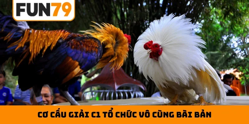 Cơ cấu giải C1 tổ chức vô cùng bài bản