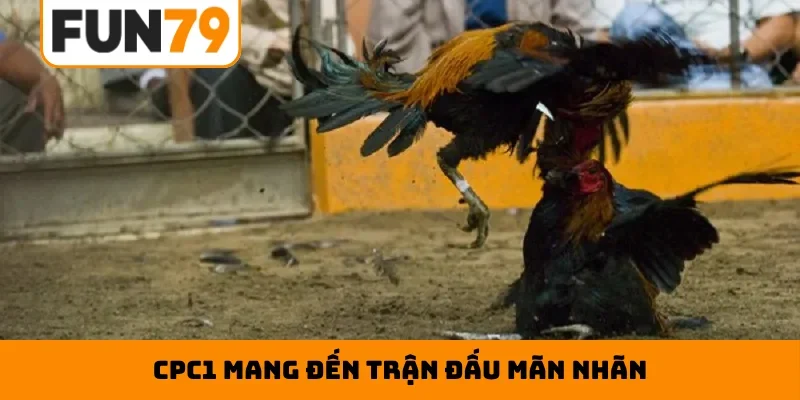 CPC1 mang đến trận đấu mãn nhãn