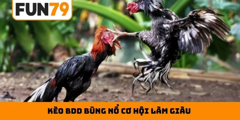 Kèo BDD bùng nổ cơ hội làm giàu