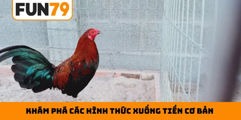 Khám phá các hình thức xuống tiền cơ bản