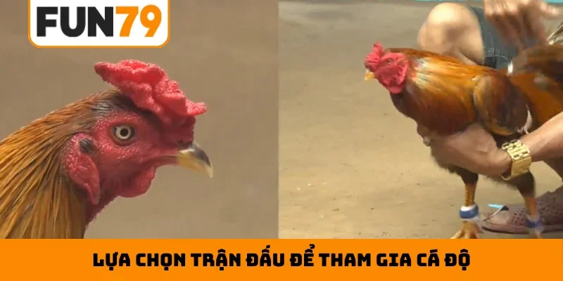 Lựa chọn trận đấu để tham gia cá độ