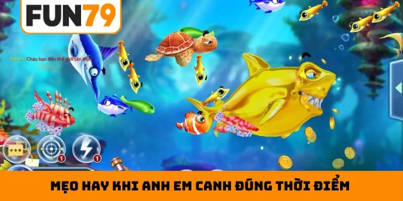 Mẹo hay khi anh em canh đúng thời điểm