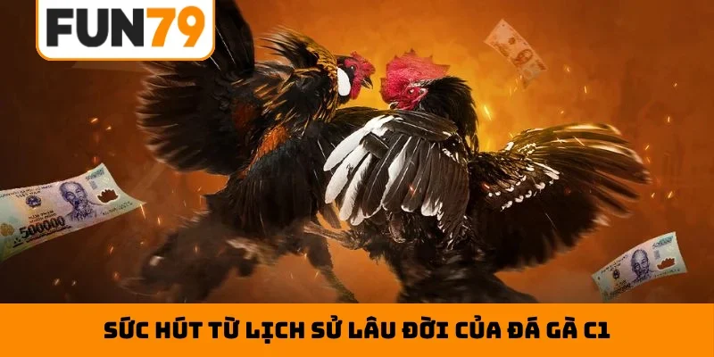 Sức hút từ lịch sử lâu đời của đá gà C1