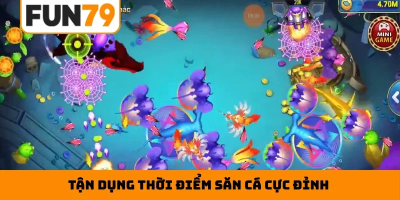 Tận dụng thời điểm săn cá cực đỉnh